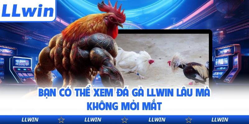 Bạn có thể xem đá gà LLWIN lâu mà không mỏi mắt