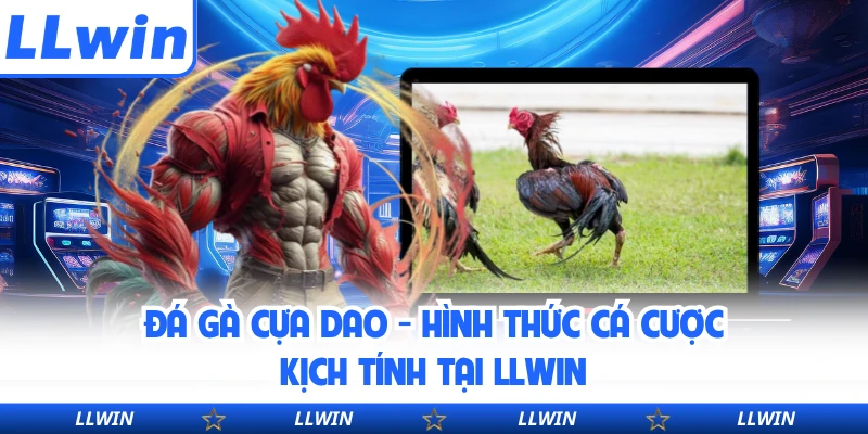 Đá Gà Cựa Dao - Hình Thức Cá Cược Kịch Tính Tại LLWIN