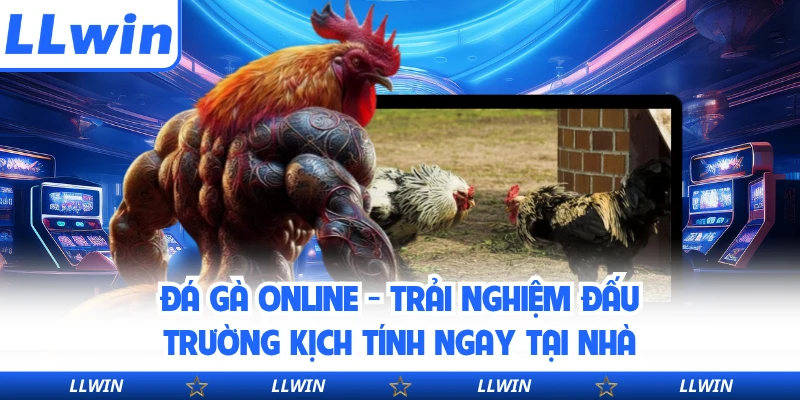 Đá Gà Online - Trải Nghiệm Đấu Trường Kịch Tính Ngay Tại Nhà