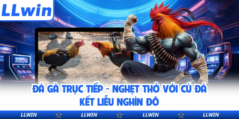 Đá Gà Trực Tiếp - Nghẹt Thở Với Cú Đá Kết Liễu Nghìn Đô