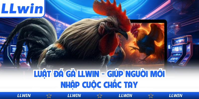 Luật Đá Gà LLWIN - Giúp Người Mới Nhập Cuộc Chắc Tay